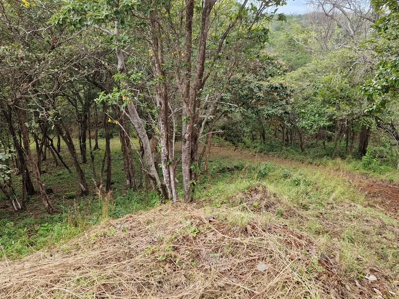Land For Sale in Punta Islita Pacific, photo 5