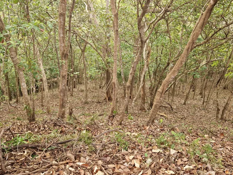 Land For Sale in Punta Islita Pacific, photo 6