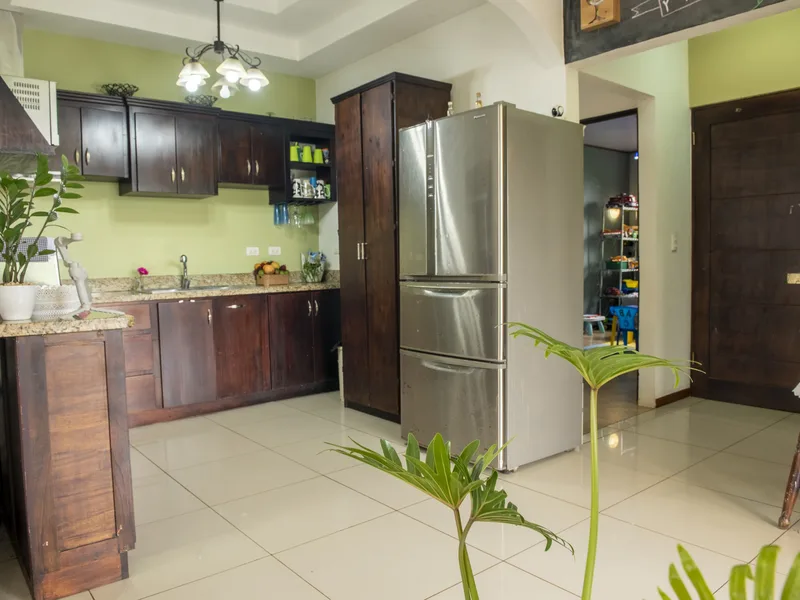4 Bed Single Family Homes For Sale in Perez Zeledon, photo 13