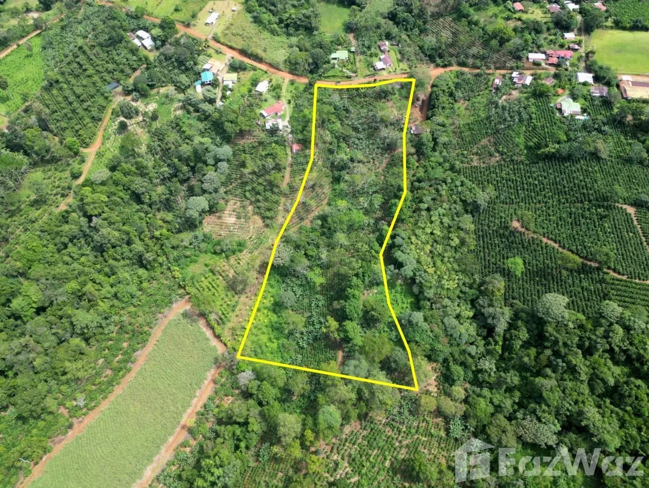 Land for Sale in Perez Zeledon, San Jose for $150,000, photo 6