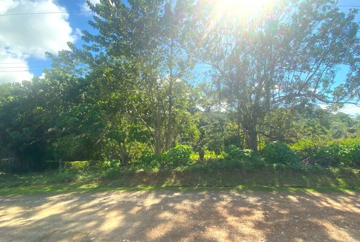 PROPERTY WITH OCEAN FRONT VIEWS, IN OJOCHAL – 0.31 ACRES, photo 2