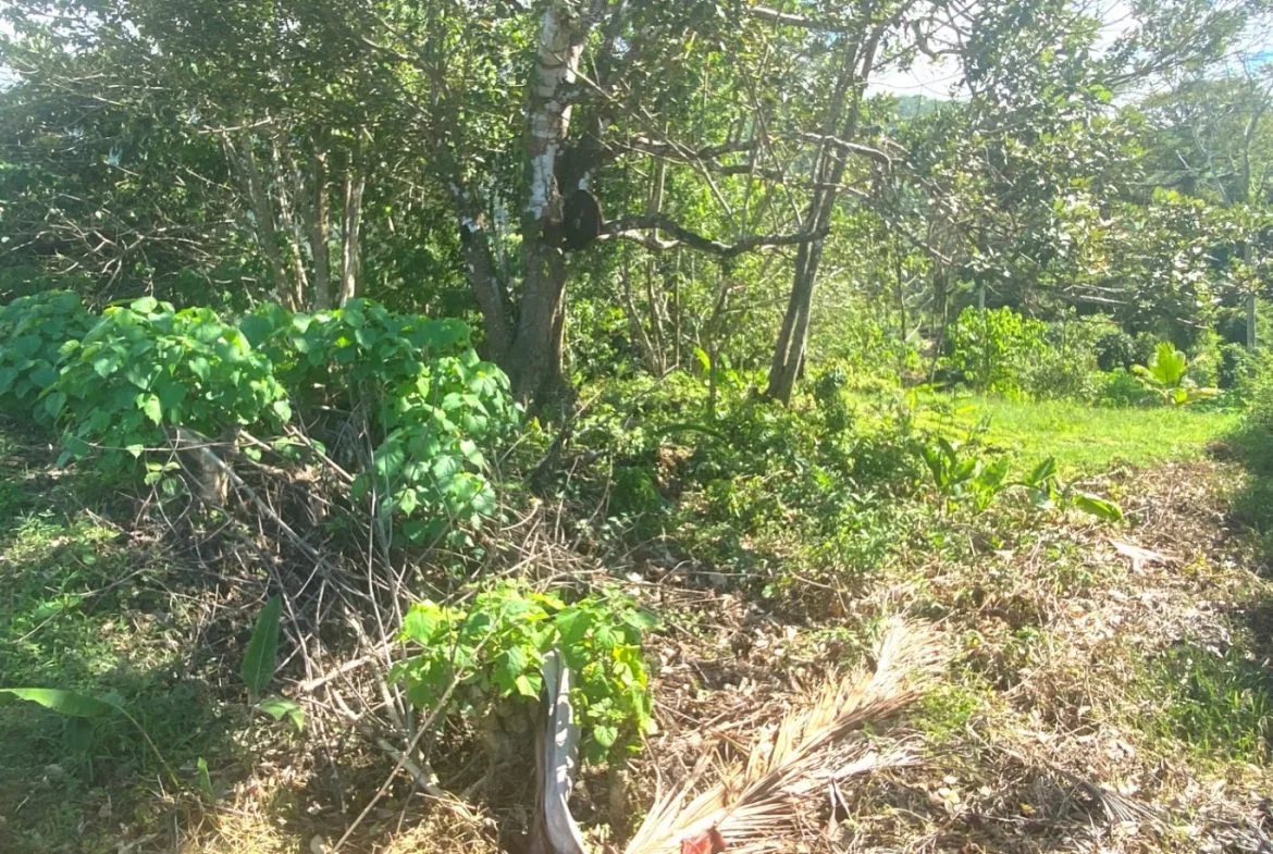 PROPERTY WITH OCEAN FRONT VIEWS, IN OJOCHAL – 0.31 ACRES, photo 11