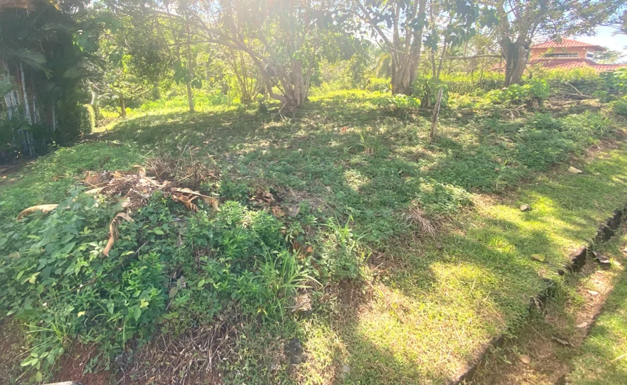 PROPERTY WITH OCEAN FRONT VIEWS, IN OJOCHAL – 0.31 ACRES, photo 12
