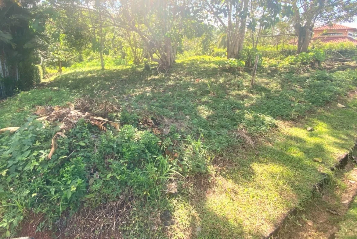 PROPERTY WITH OCEAN FRONT VIEWS, IN OJOCHAL – 0.31 ACRES, photo 13