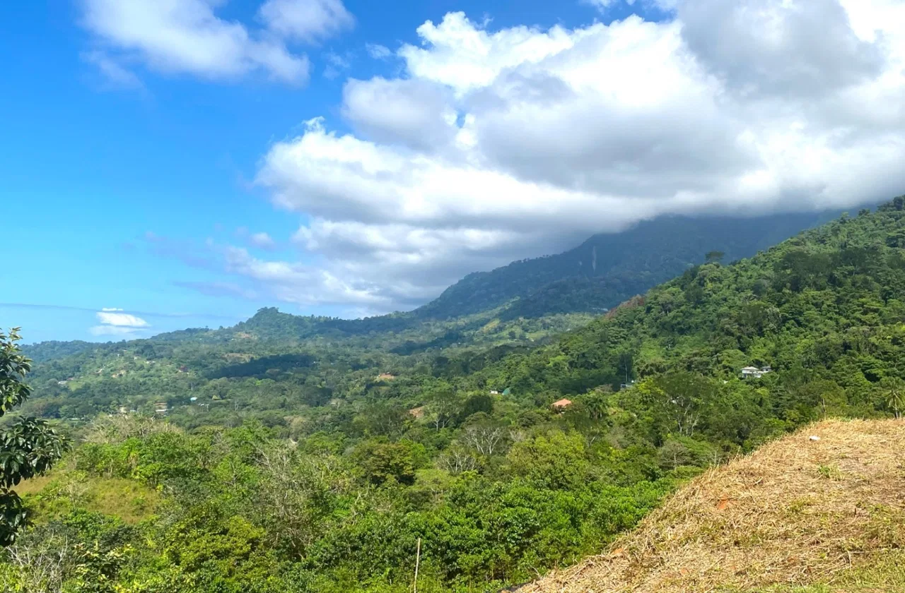 PROPERTY WITH OCEAN FRONT VIEWS, IN OJOCHAL – 0.31 ACRES, photo 14