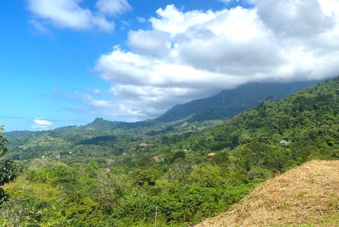 PROPERTY WITH OCEAN FRONT VIEWS, IN OJOCHAL – 0.31 ACRES, photo 15