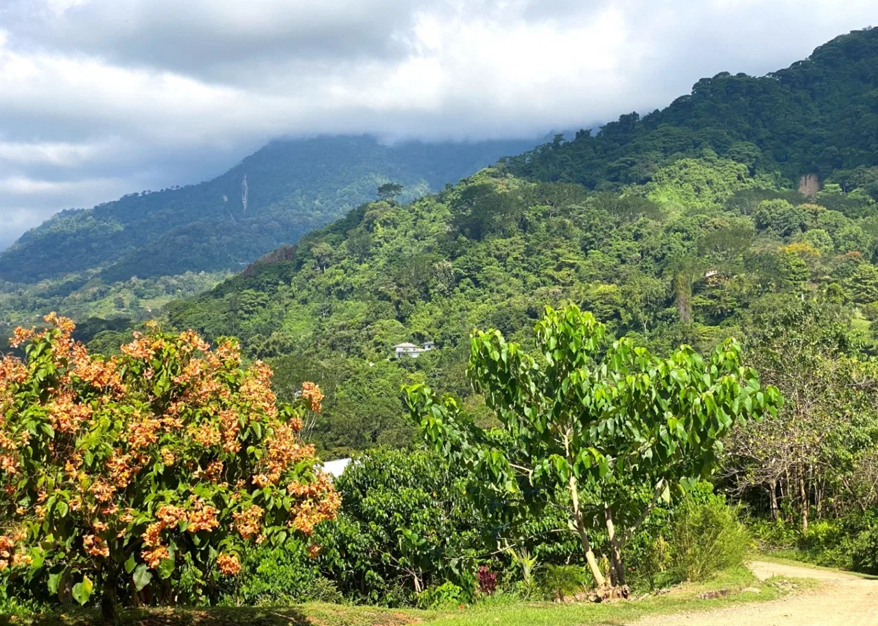 PROPERTY WITH OCEAN FRONT VIEWS, IN OJOCHAL – 0.31 ACRES, photo 16