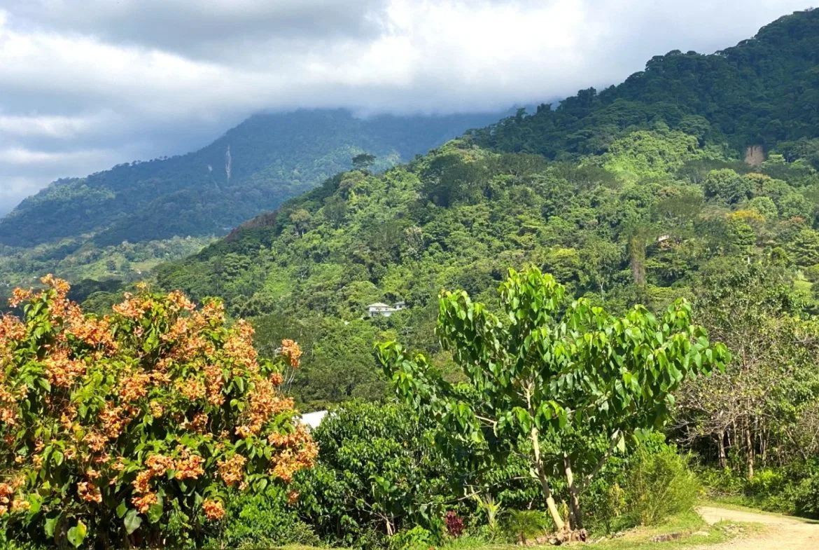 PROPERTY WITH OCEAN FRONT VIEWS, IN OJOCHAL – 0.31 ACRES, photo 17