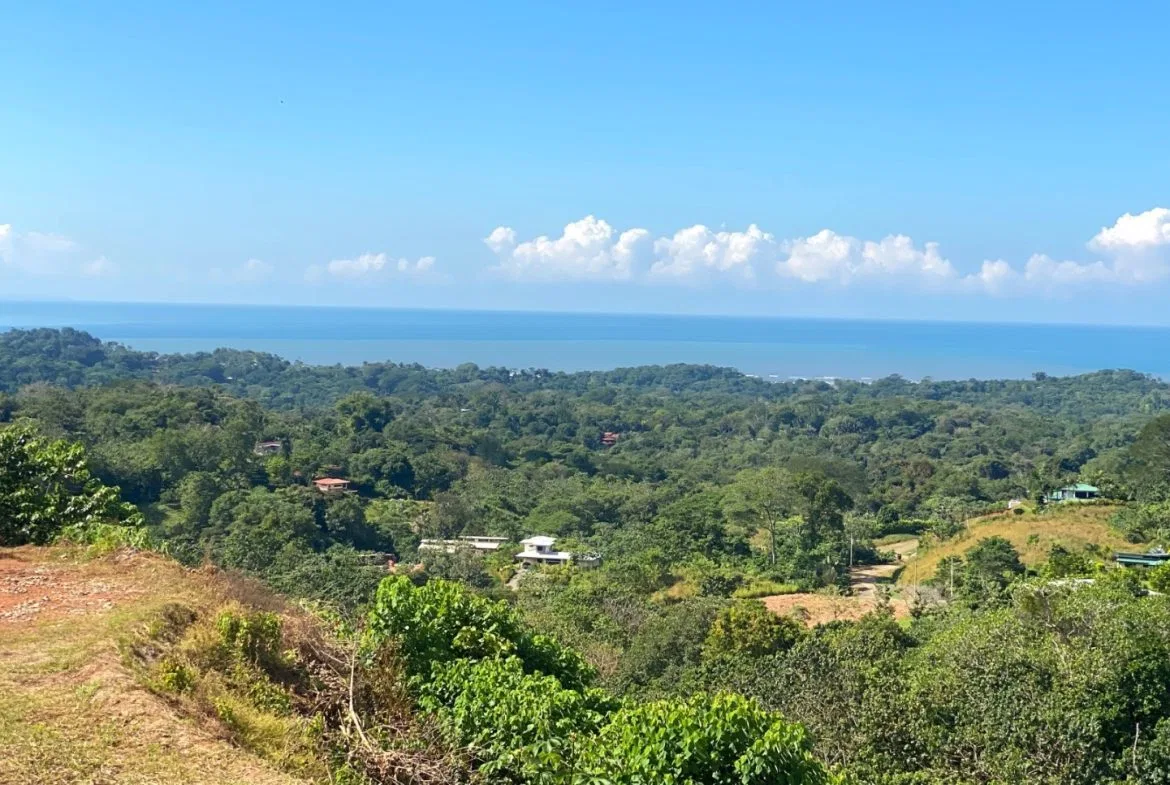 PROPERTY WITH OCEAN FRONT VIEWS, IN OJOCHAL – 0.31 ACRES, photo 19