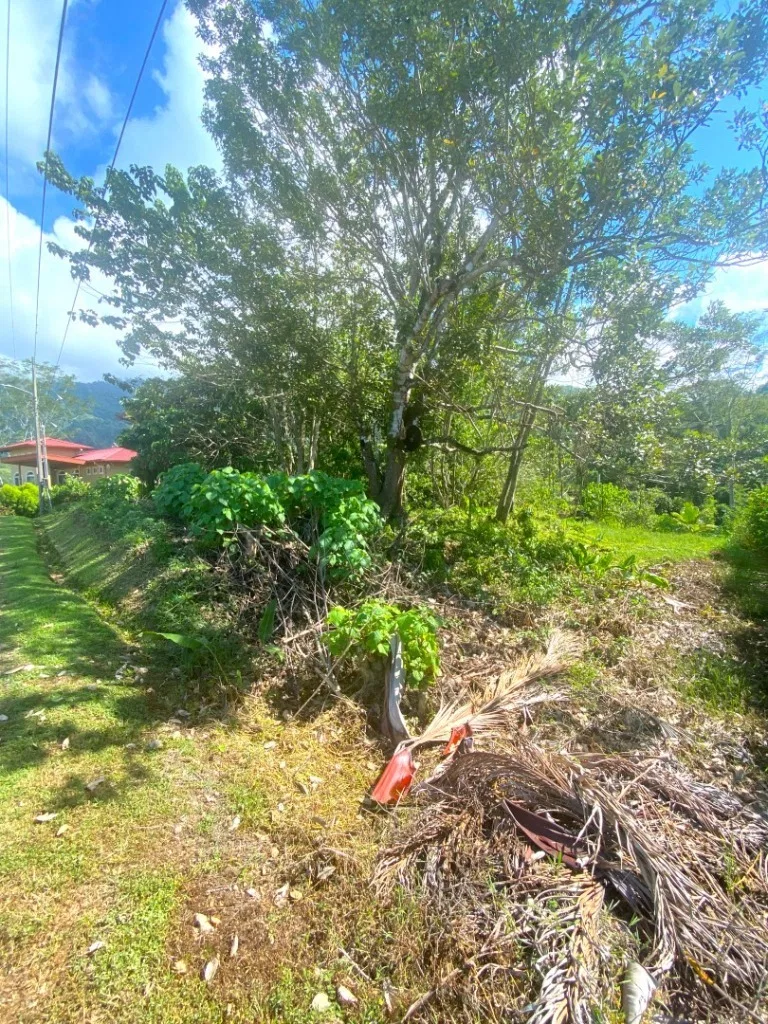 PROPERTY WITH OCEAN FRONT VIEWS, IN OJOCHAL – 0.31 ACRES, photo 20