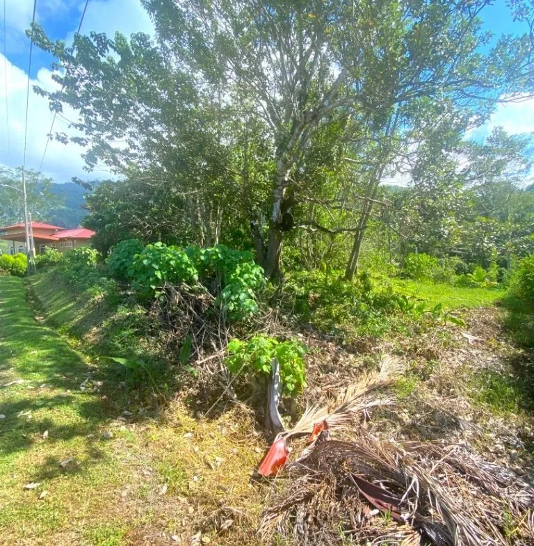 PROPERTY WITH OCEAN FRONT VIEWS, IN OJOCHAL – 0.31 ACRES, photo 21