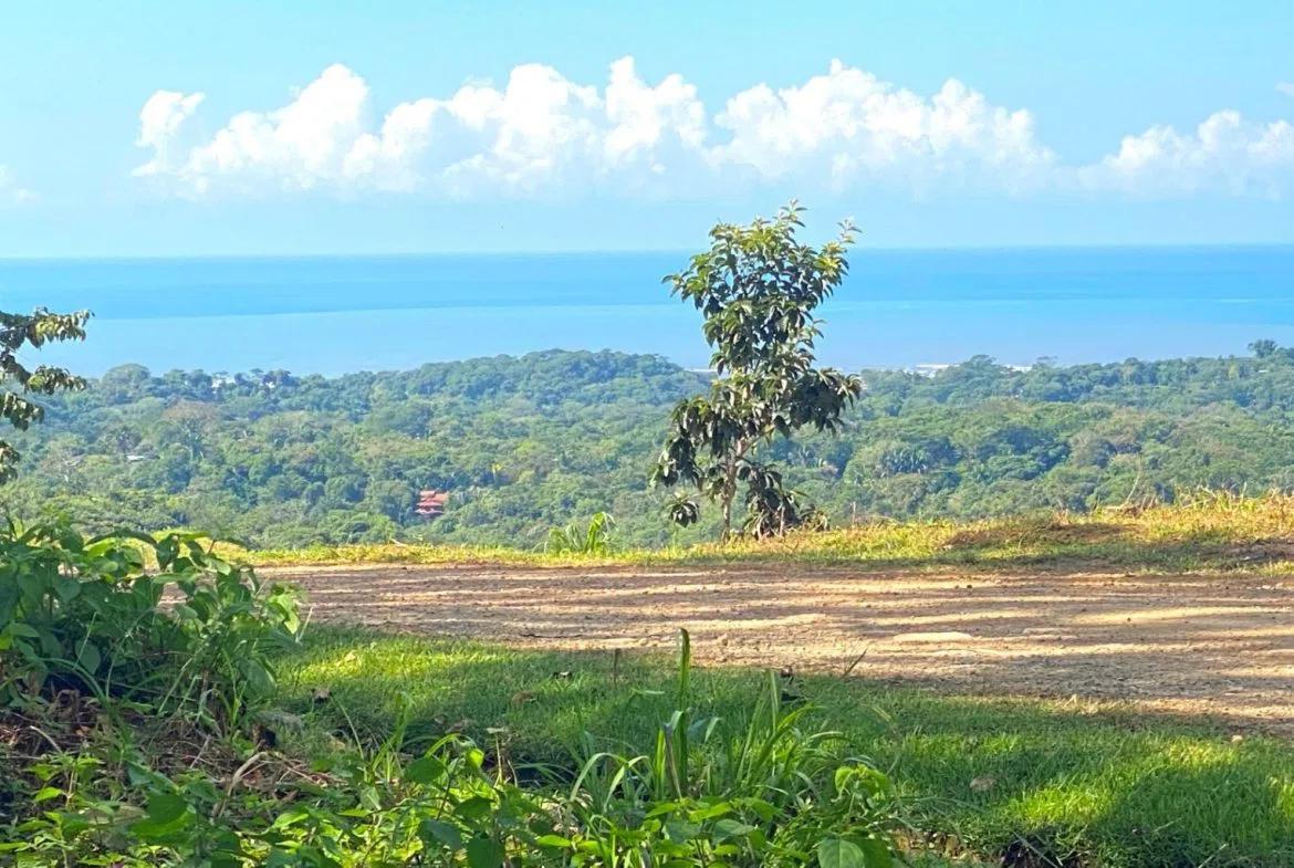PROPERTY WITH OCEAN FRONT VIEWS, IN OJOCHAL – 0.31 ACRES, photo 5