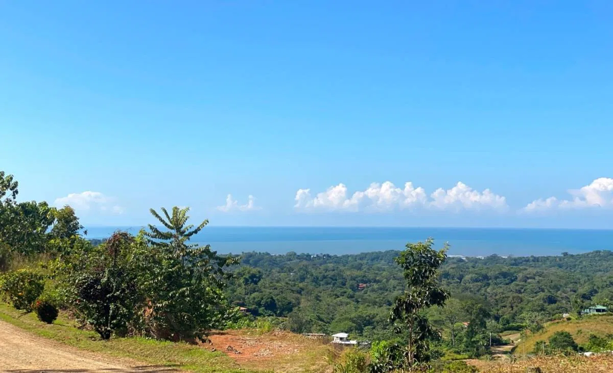 PROPERTY WITH OCEAN FRONT VIEWS, IN OJOCHAL – 0.31 ACRES, photo 6