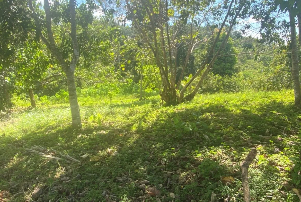 PROPERTY WITH OCEAN FRONT VIEWS, IN OJOCHAL – 0.31 ACRES, photo 9