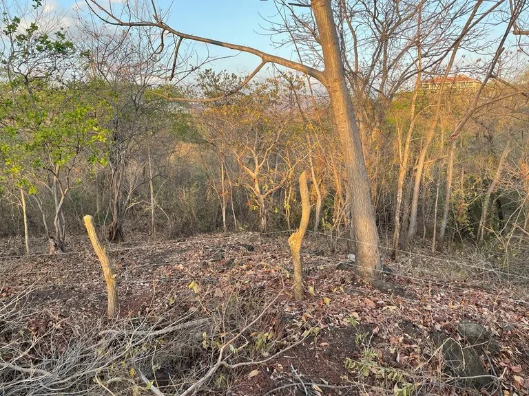 Oceanview development property for sale close to the best Conchal beaches , photo 8