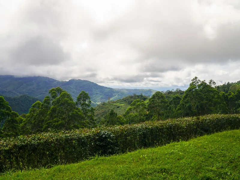 Land For Sale in Perez Zeledon, photo 13