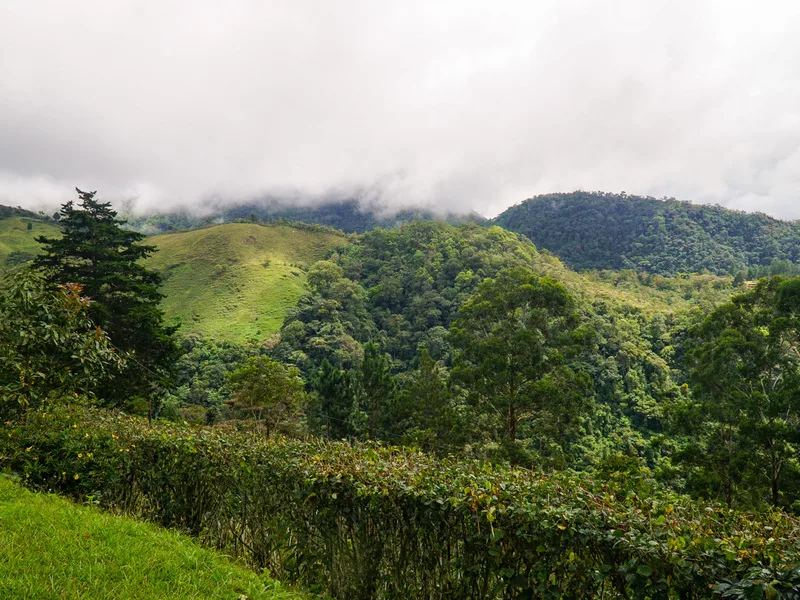 Land For Sale in Perez Zeledon, photo 14