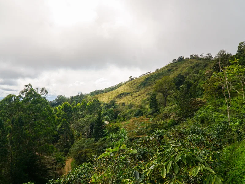 Land For Sale in Perez Zeledon, photo 15