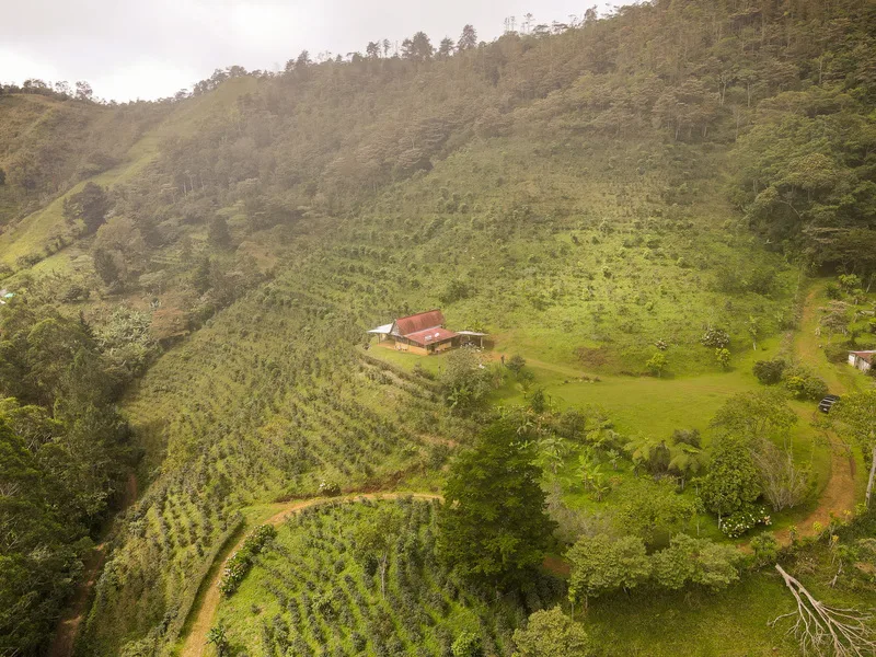 Land For Sale in Perez Zeledon, photo 6