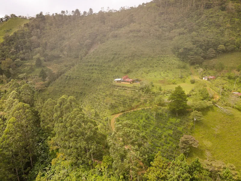 Land For Sale in Perez Zeledon, photo 7