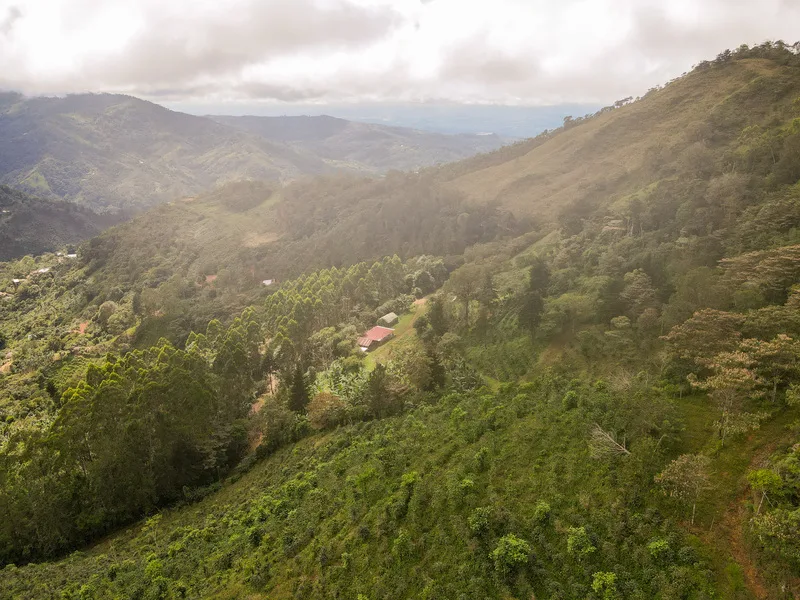 Land For Sale in Perez Zeledon, photo 10