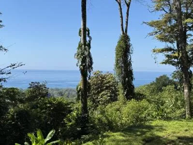 Dos lotes con vista al mar en Uvita: fácil acceso y amplios terrenos edificables., photo 4