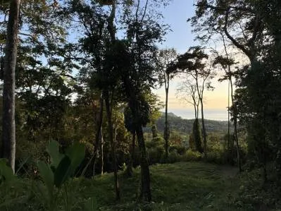 Dos lotes con vista al mar en Uvita: fácil acceso y amplios terrenos edificables., photo 8