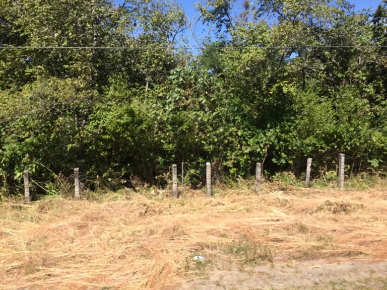 Development Parcel in Liberia