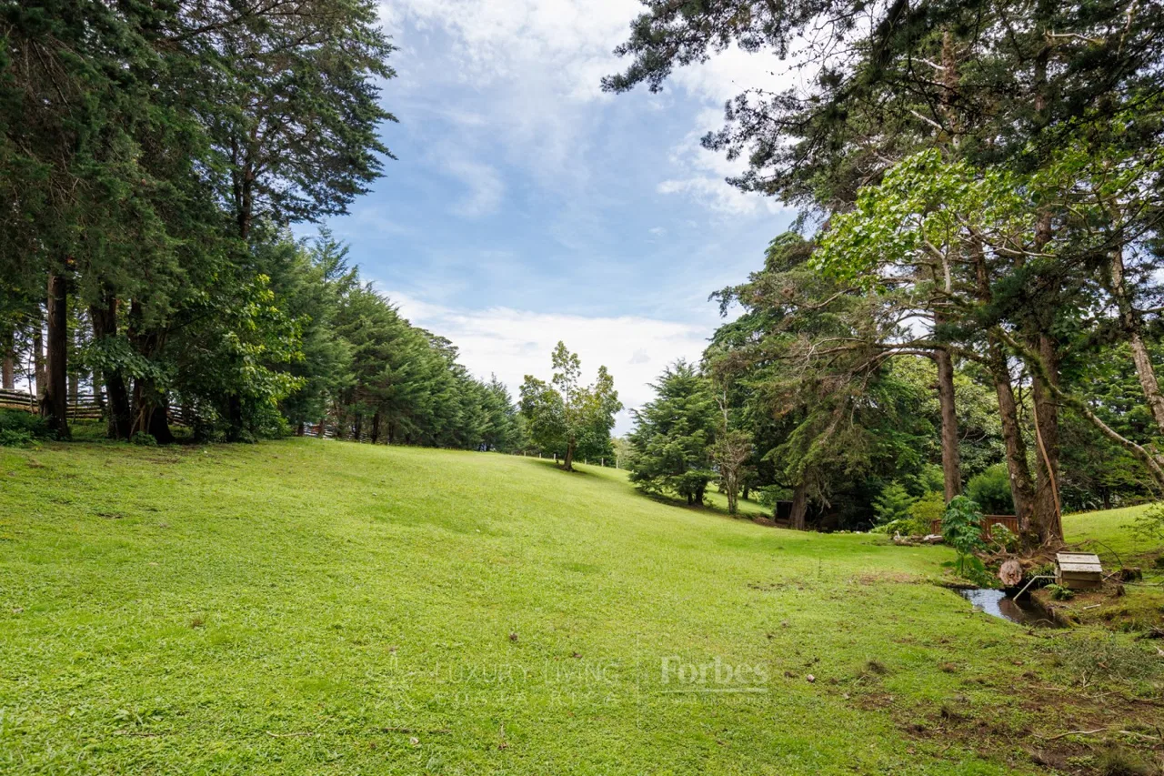 Lot with 3,720 m2 in San José de la Montaña, Mostly flat