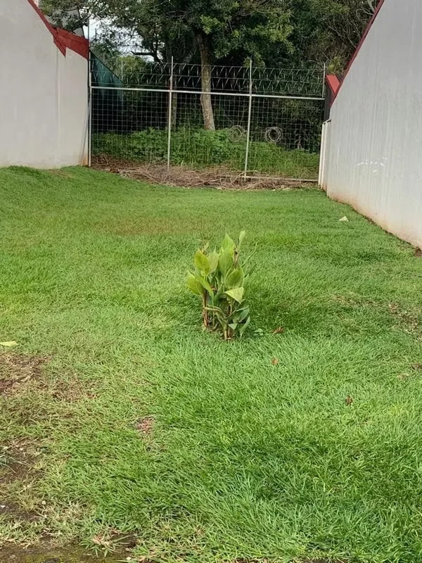 ¡Oportunidad de Lote en Condominio, Mercedes Sur, Heredia!