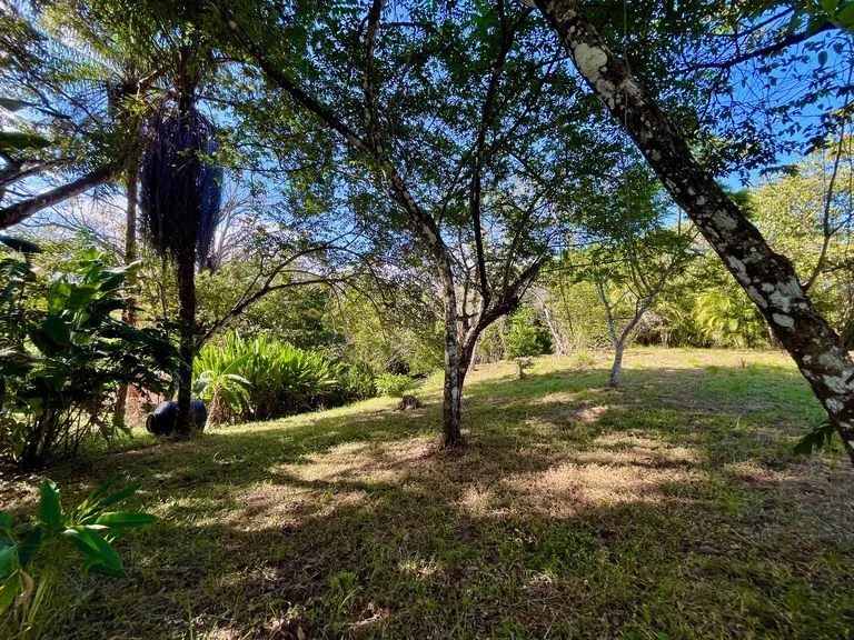Mixed Use Land in Delicias