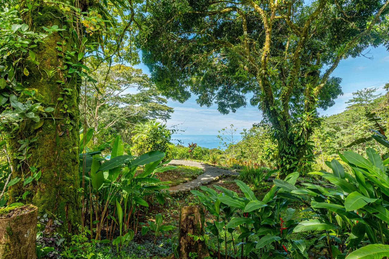 Estate Property in Escaleras, Multi-Use, Residential/HOTEL/Commercial, photo 14