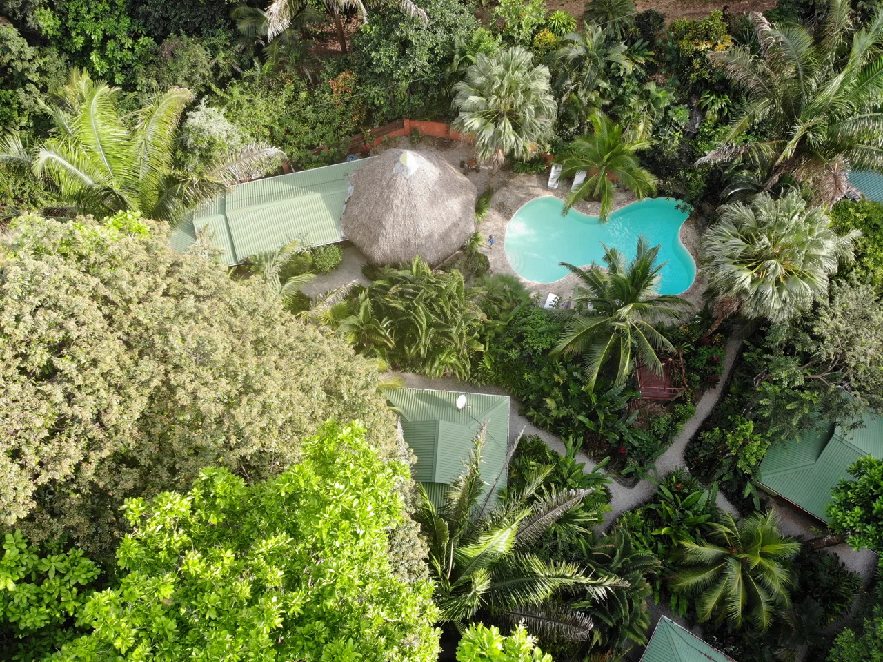 Gecko Verde - Perfect Jungle Hideaway Hotel Close To Beach & Town Amenities