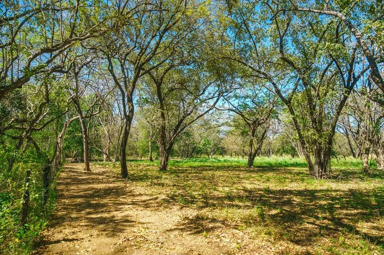 Agricultural Land in Cabo Velas, photo 3