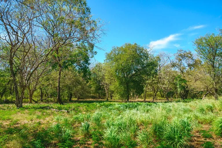 Agricultural Land in Cabo Velas, photo 4