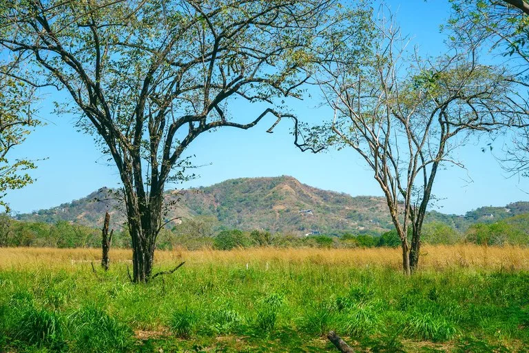Agricultural Land in Cabo Velas, photo 6