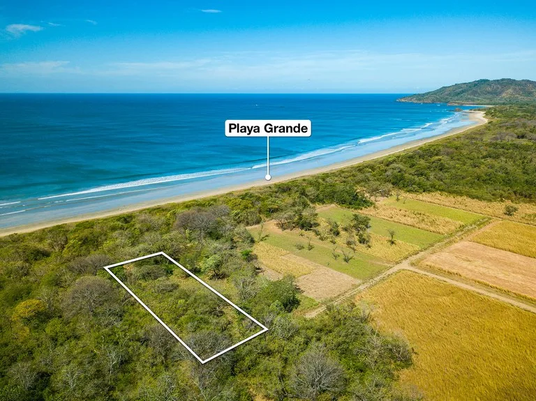 Agricultural Land in Cabo Velas, photo 9