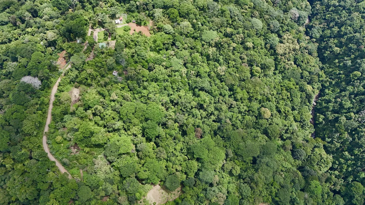 LARGE TROPICAL ESTATE WITH RIVER ACCESS AND A SMALL WATERFALL NEAR UVITA – 45.4 ACRES, photo 2