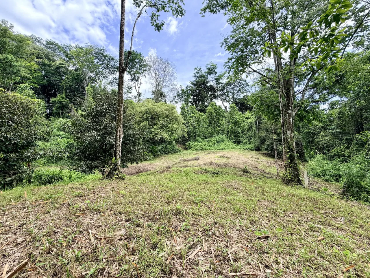 LARGE TROPICAL ESTATE WITH RIVER ACCESS AND A SMALL WATERFALL NEAR UVITA – 45.4 ACRES, photo 11