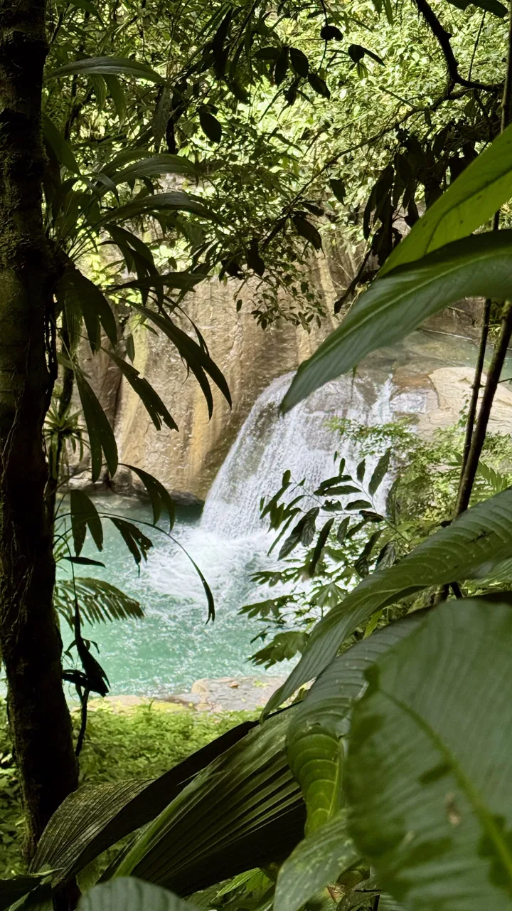 LARGE TROPICAL ESTATE WITH RIVER ACCESS AND A SMALL WATERFALL NEAR UVITA – 45.4 ACRES, photo 18