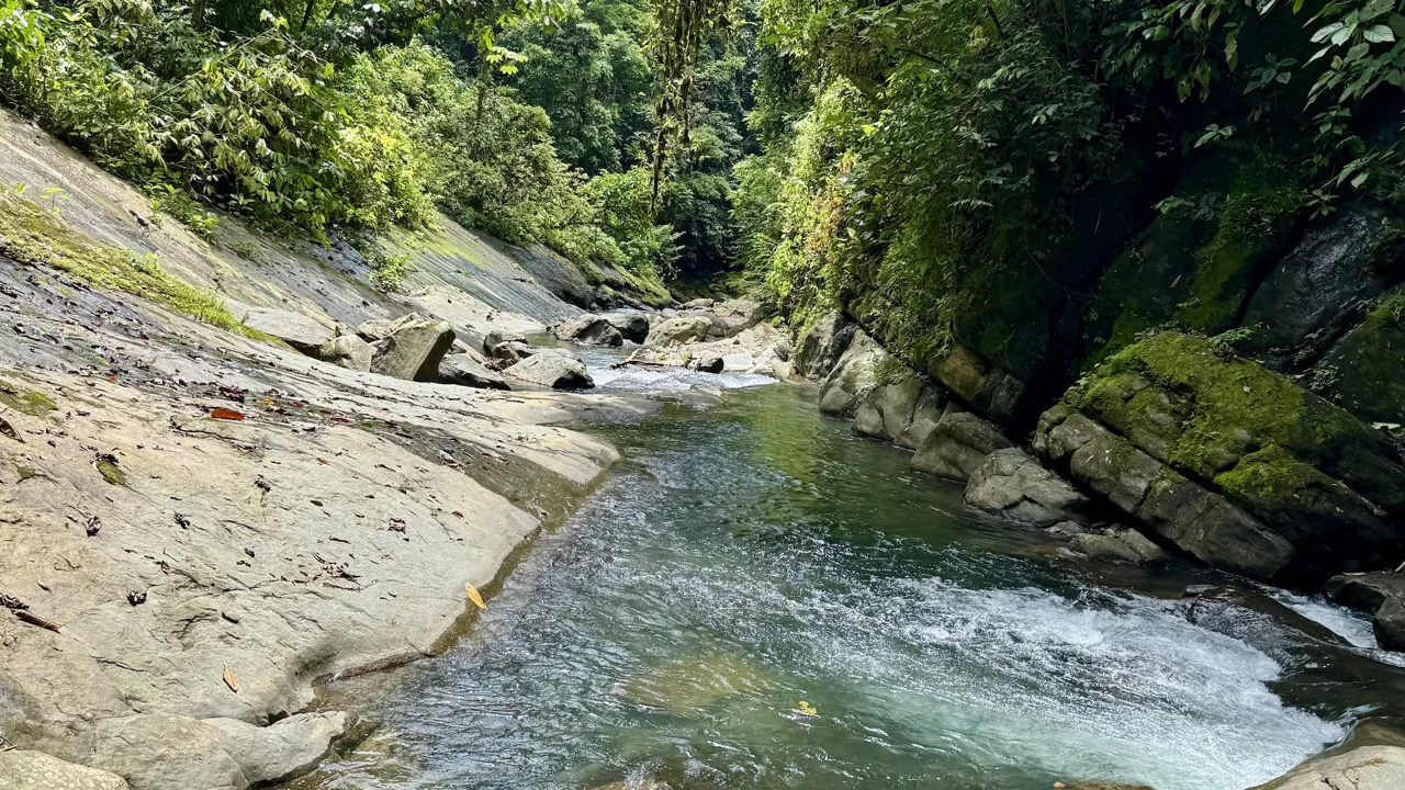 LARGE TROPICAL ESTATE WITH RIVER ACCESS AND A SMALL WATERFALL NEAR UVITA – 45.4 ACRES, photo 21