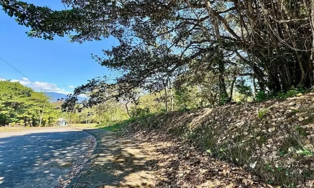 Hermoso Lote en Residencial La Cabriola, El Rodeo, Ciudad Colón., photo 2