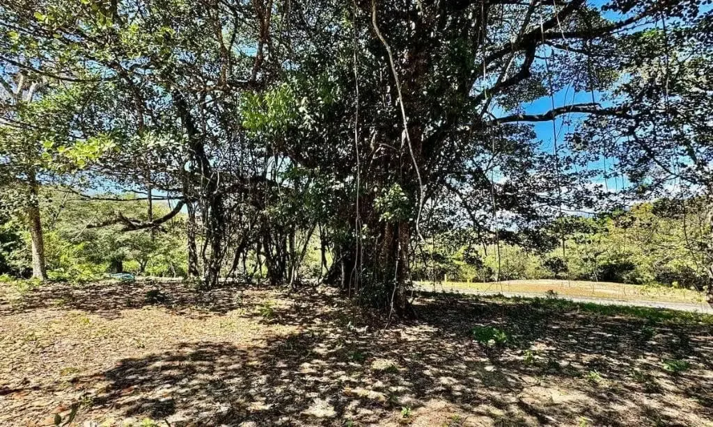Hermoso Lote en Residencial La Cabriola, El Rodeo, Ciudad Colón., photo 3