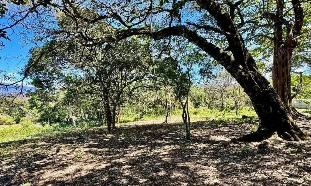 Hermoso Lote en Residencial La Cabriola, El Rodeo, Ciudad Colón., photo 4