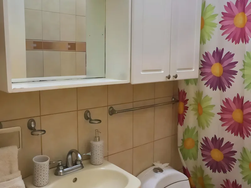 2 Bed Condo For Sale in Ocotal, photo 2