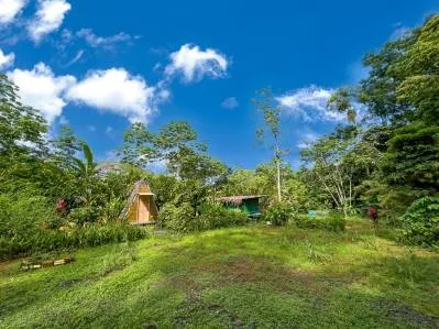 ¡Llamamos a todos los desarrolladores! 6,6 acres en el centro de Uvita, photo 5