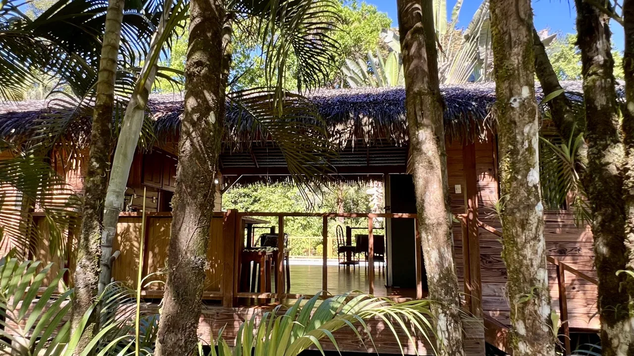 TROPICAL WOODEN STILT HOME IN OJOCHAL – RUSTIC CHARM & INVESTMENT POTENTIAL – 0.5 ACRES, photo 8