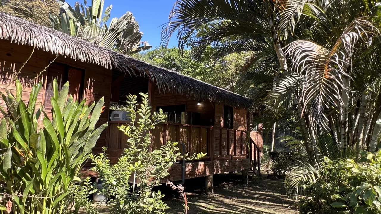 TROPICAL WOODEN STILT HOME IN OJOCHAL – RUSTIC CHARM & INVESTMENT POTENTIAL – 0.5 ACRES, photo 10