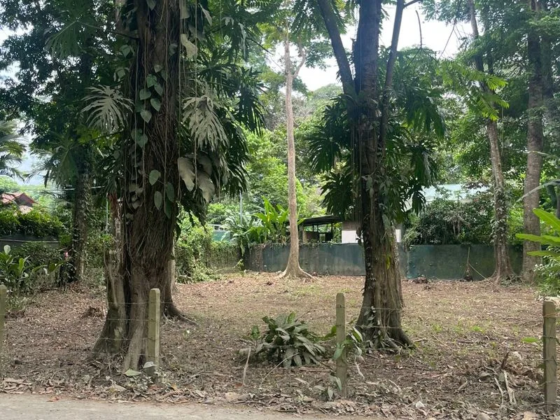 Land For Sale in Puerto Viejo