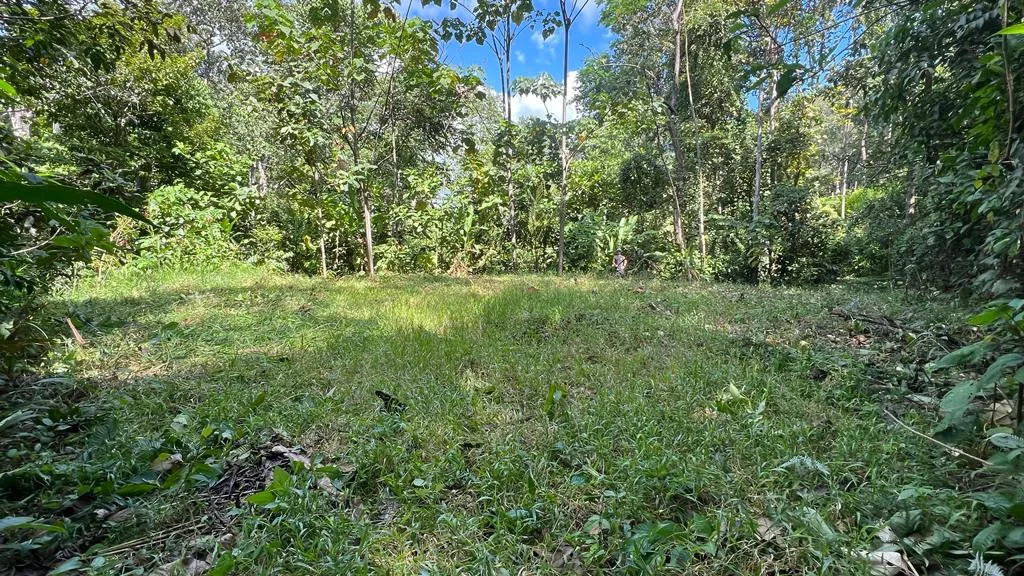 WALK TO BEACH OASIS: EXPANSIVE 2.46-ACRE PROPERTY WITH PRE-GRADED HOME SITE & ENDLESS POTENTIAL, photo 2